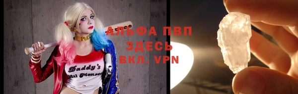 ПСИЛОЦИБИНОВЫЕ ГРИБЫ Майский