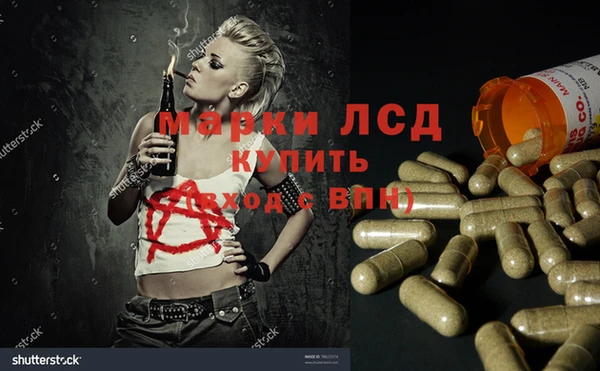 ECSTASY Магадан