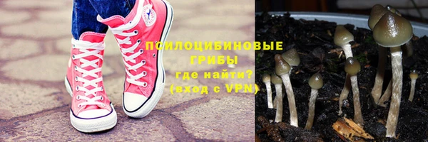 ECSTASY Магадан