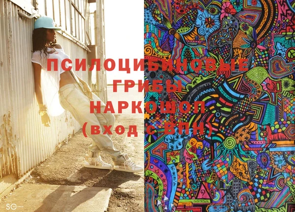 ПСИЛОЦИБИНОВЫЕ ГРИБЫ Майский